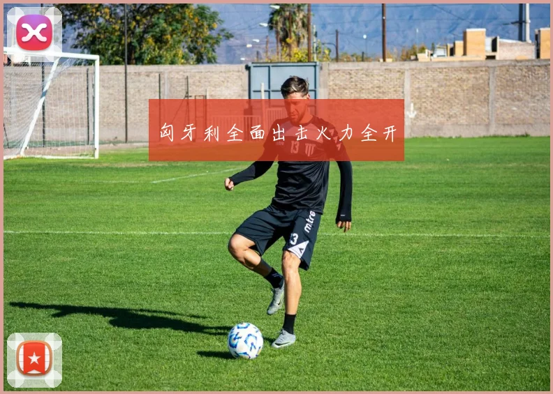 匈牙利全面出击火力全开