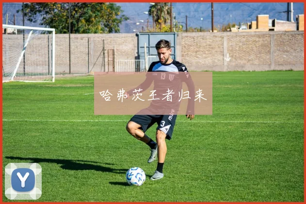 哈弗茨王者归来