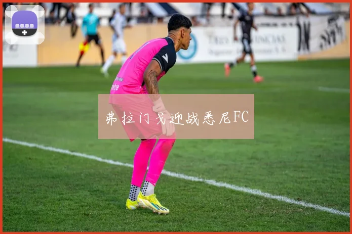 弗拉门戈迎战悉尼FC