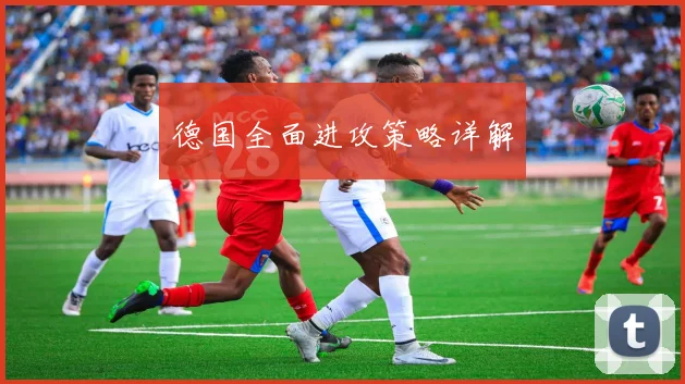 德国全面进攻策略详解
